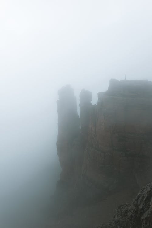 有关垂直拍摄, 壁纸, 天性的免费素材图片