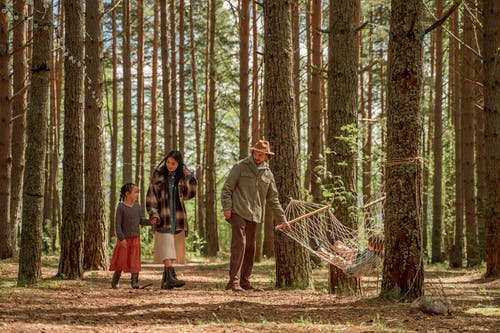 有关享受, 吊床, 家人的免费素材图片