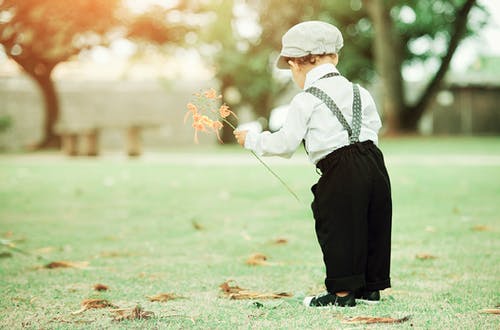 有关幼儿, 後视图, 握住的免费素材图片