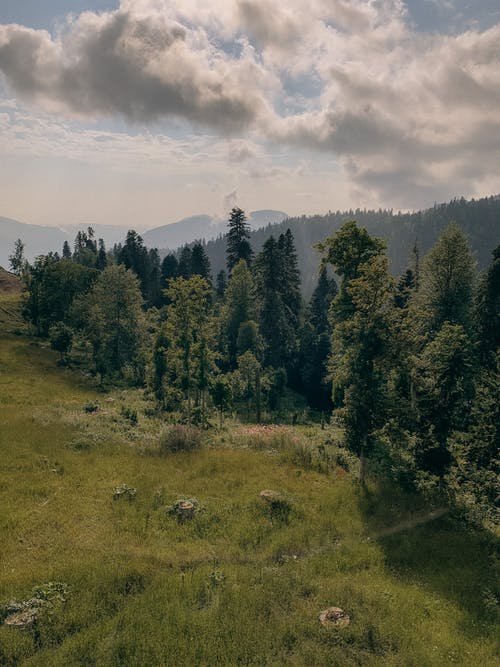 有关不变, 冷静, 华丽的的免费素材图片