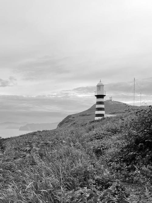 有关bw, Copyspace, 光的免费素材图片