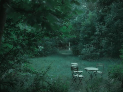 有关公园, 冷静, 原本的免费素材图片