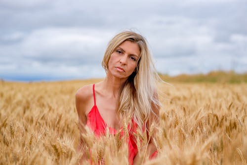 有关人, 意大利面条皮带, 特写的免费素材图片