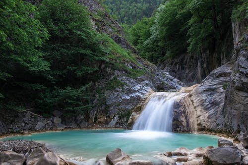 有关天性, 岩石, 森林的免费素材图片