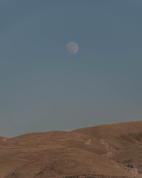 有关乾旱, 乾的, 垂直拍摄的免费素材图片