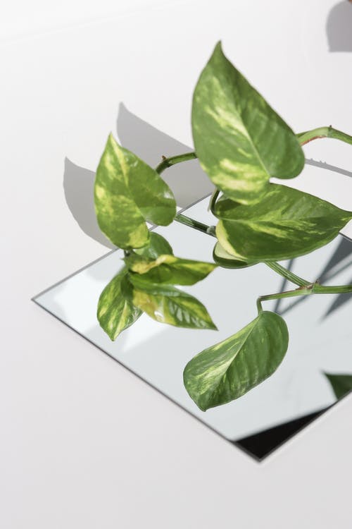 有关反射, 垂直拍摄, 工厂的免费素材图片