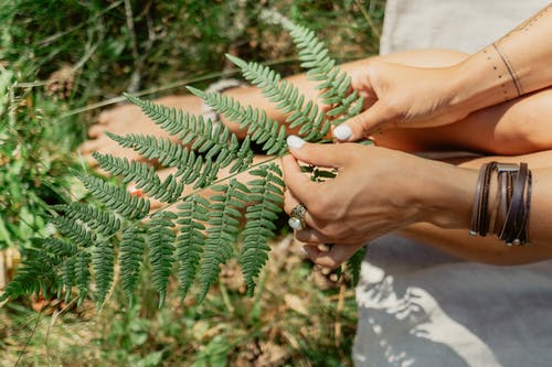 有关修剪指甲, 呎, 手環的免费素材图片