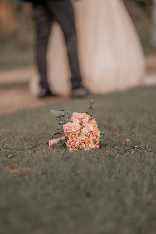 有关垂直拍摄, 景深, 粉红玫瑰的免费素材图片