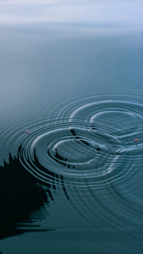 水面上的涟漪 · 免费素材图片