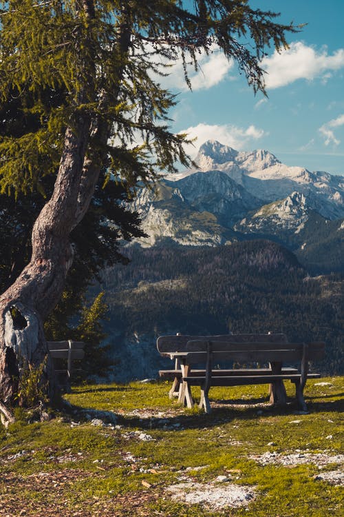 有关冷静, 原本, 和平的的免费素材图片