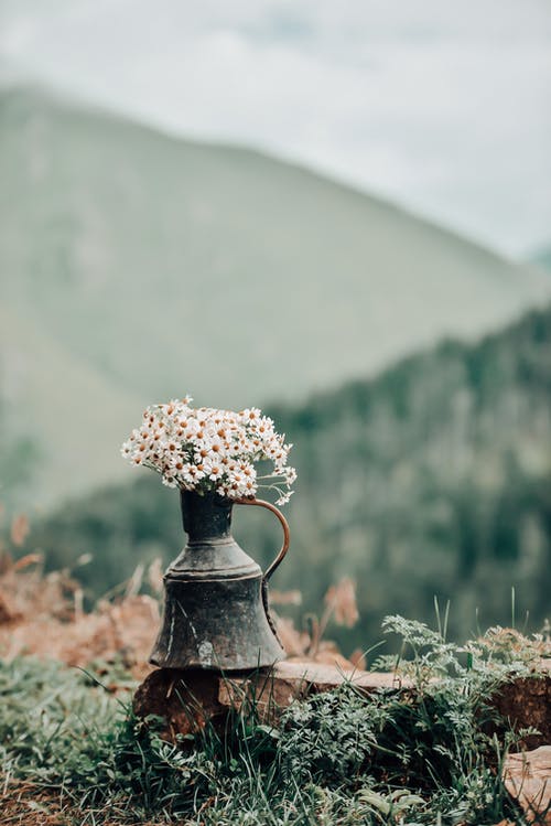 有关垂直拍摄, 户外, 石的免费素材图片