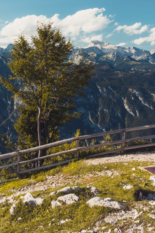 有关公園, 原本, 围栏的免费素材图片