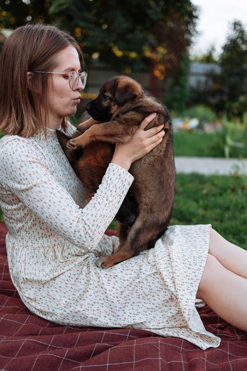 一个穿着裙子的女人抱着一只可爱的小狗 · 免费素材图片