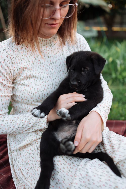 一个宠物爱好者抱着一只可爱的小狗 · 免费素材图片