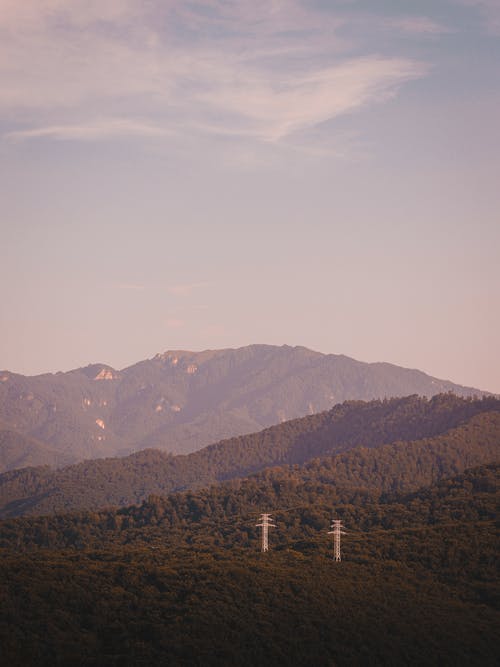 有关垂直的, 景观, 环境的免费素材图片