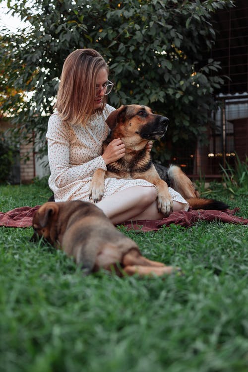 宠物爱好者与她的狗共度时光 · 免费素材图片