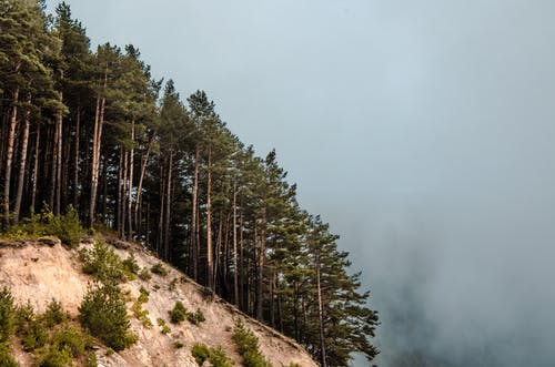 有关低角度拍摄, 天性, 山的免费素材图片