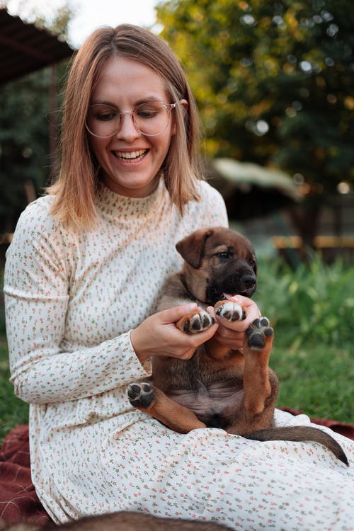 一个女人和她的小狗玩耍 · 免费素材图片