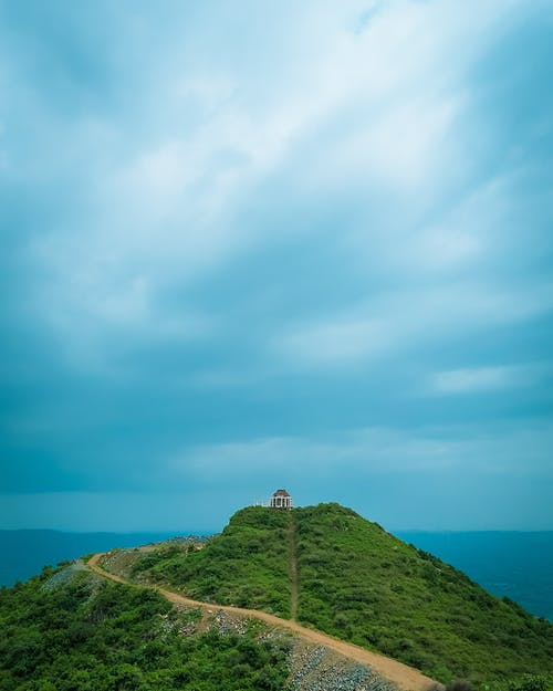 有关垂直的, 天性, 景观的免费素材图片