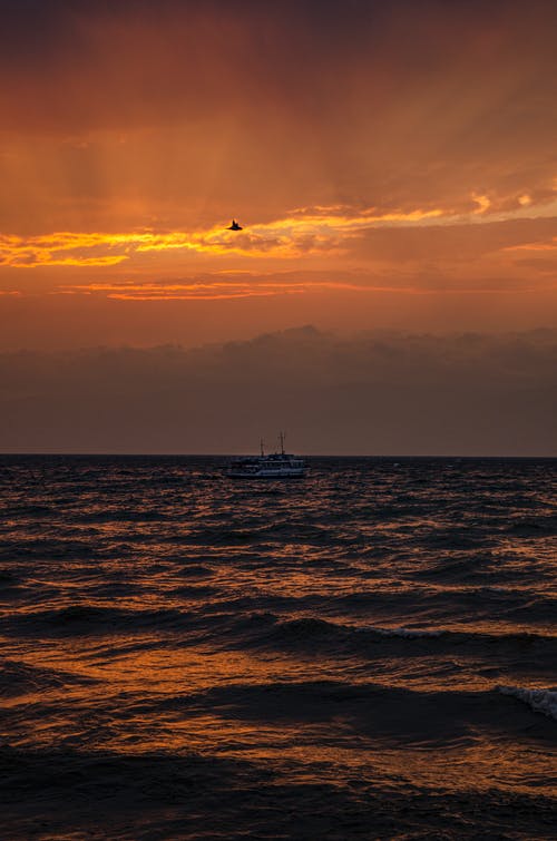 有关垂直拍摄, 日落, 海的免费素材图片