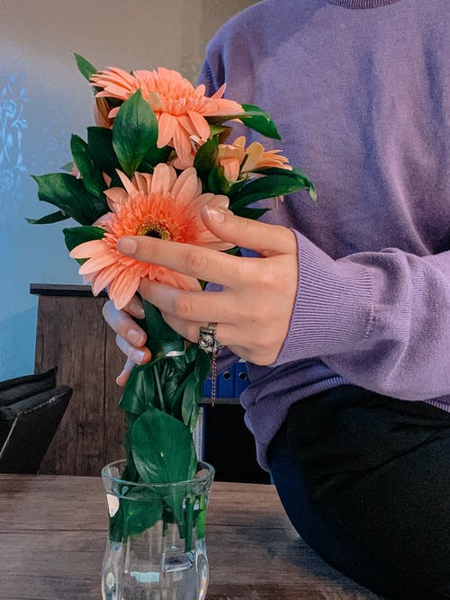 有关垂直拍摄, 握住, 植物群的免费素材图片