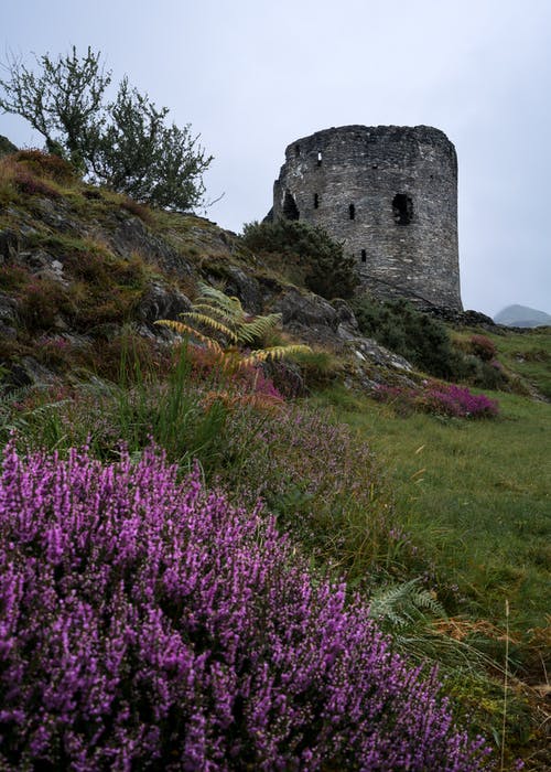 有关dolbadarn城堡, 古老的, 地标的免费素材图片