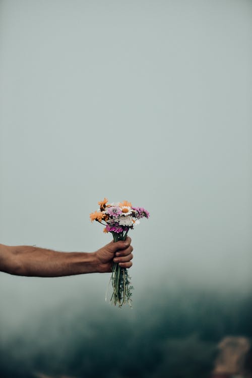 有关垂直拍摄, 微妙, 握住的免费素材图片