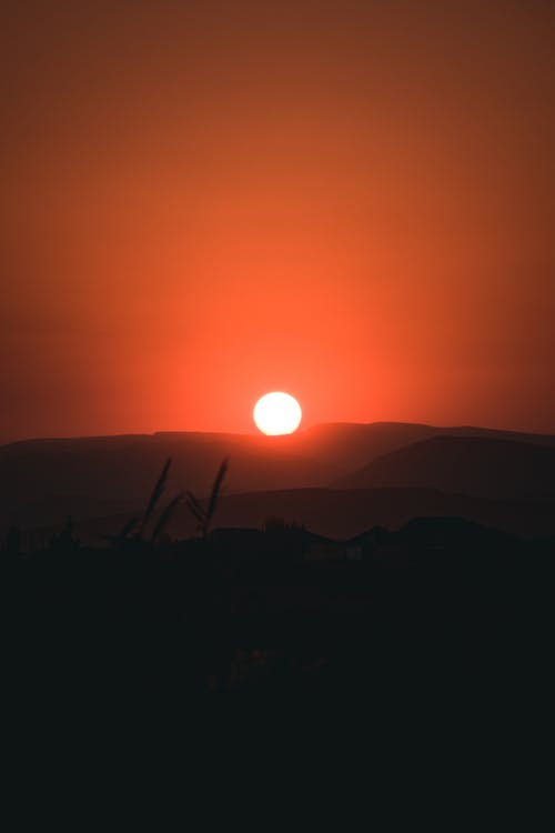 有关光, 剪影, 天性的免费素材图片