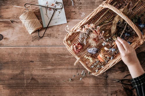 有关COPYSPACE, 一般开销, 创造力的免费素材图片