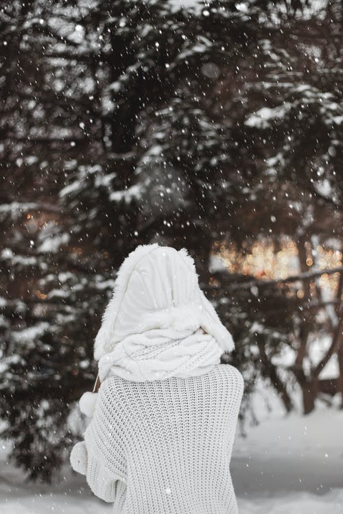 有关@户外, 下雪, 冬季的免费素材图片