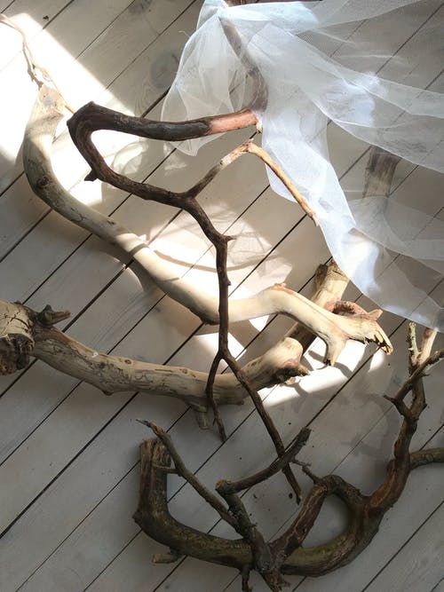 有关乾的, 件, 分公司的免费素材图片