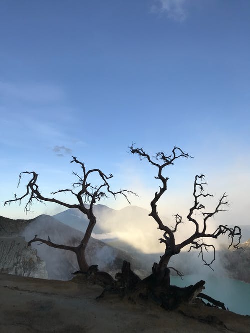 有关冒险, 天, 天性的免费素材图片