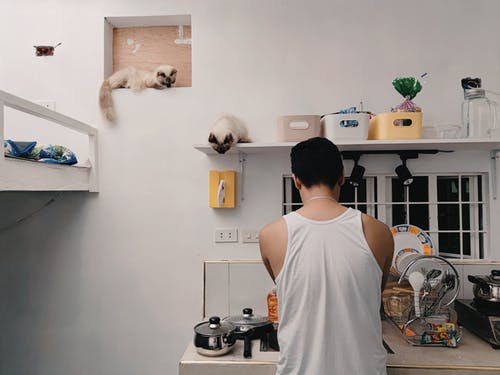 有关亚洲家, 人, 动物行为的免费素材图片