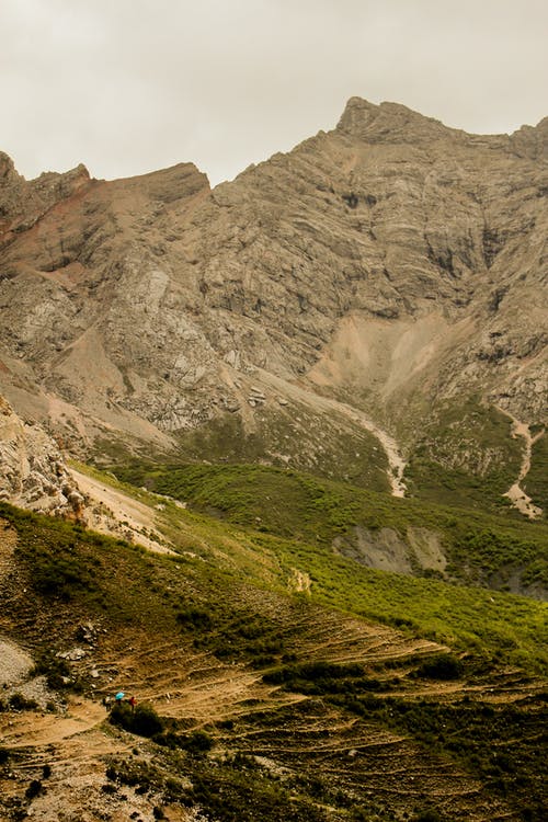 有关垂直拍摄, 坏心情, 天性的免费素材图片