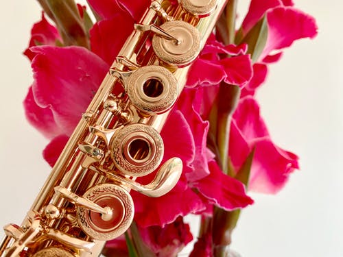 有关古典音乐, 木管乐器, 乐器的免费素材图片