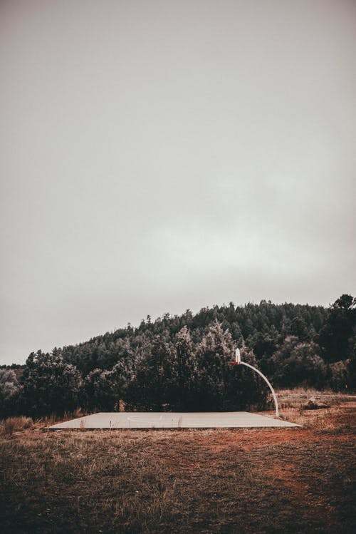 有关垂直拍摄, 树木, 混凝土地面的免费素材图片
