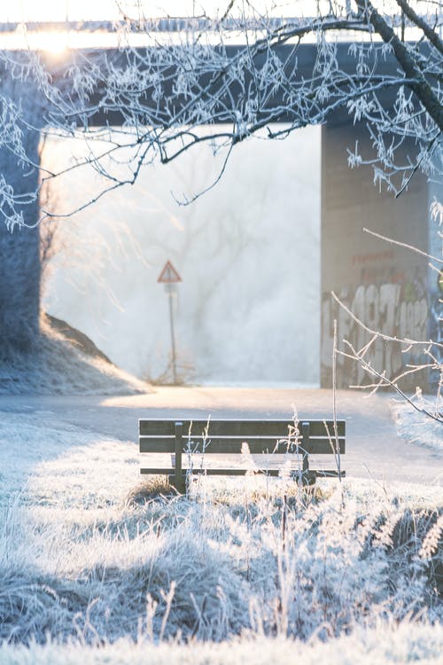 有关单色, 垂直拍摄, 木的免费素材图片