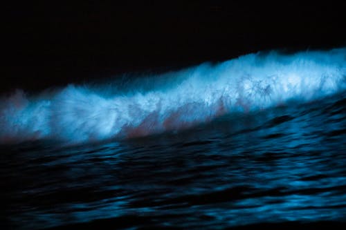 有关天性, 撞击波浪, 晚上的免费素材图片