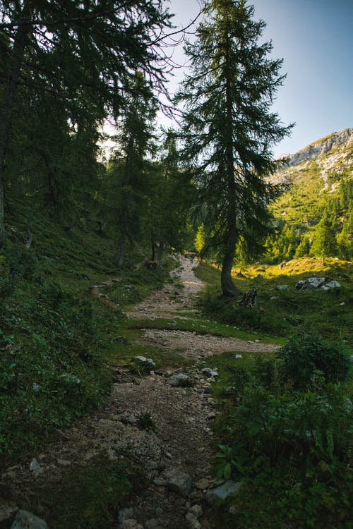 有关冒险, 垂直的, 天性的免费素材图片