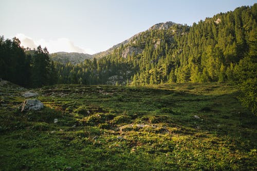 有关天性, 景观, 洛矶山脉的免费素材图片