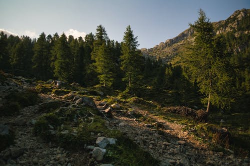 有关天性, 景观, 洛矶山脉的免费素材图片