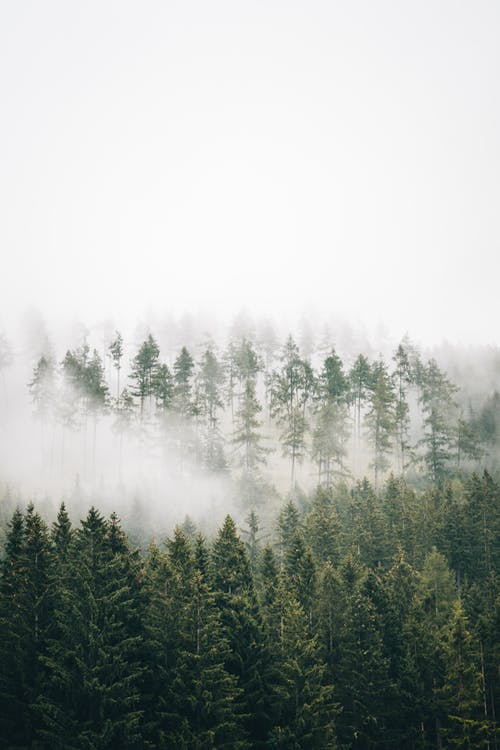 有关gesäuse, 云林, 冬季的免费素材图片