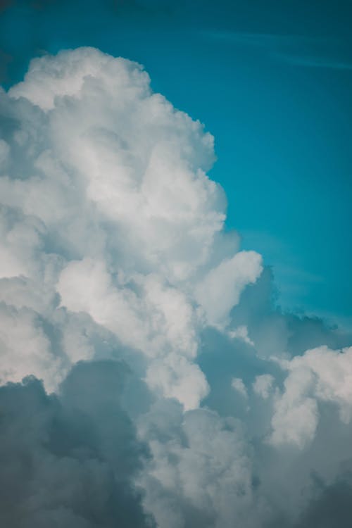 有关喜怒无常, 天性, 天空的免费素材图片