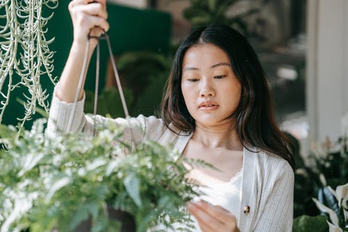 有关天, 女人, 宁静的人的免费素材图片