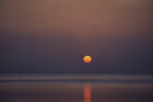 有关傍晚的太阳, 地平线, 戏剧化的免费素材图片