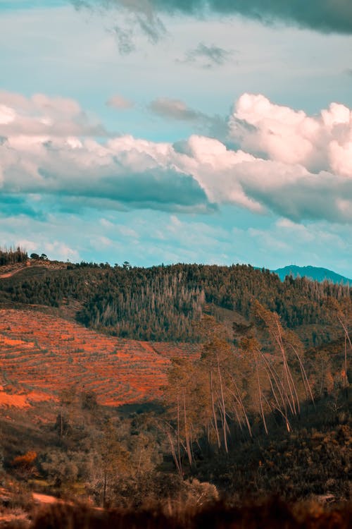 有关天性, 户外, 景观的免费素材图片