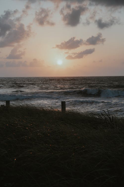 有关地平線, 垂直拍摄, 天性的免费素材图片