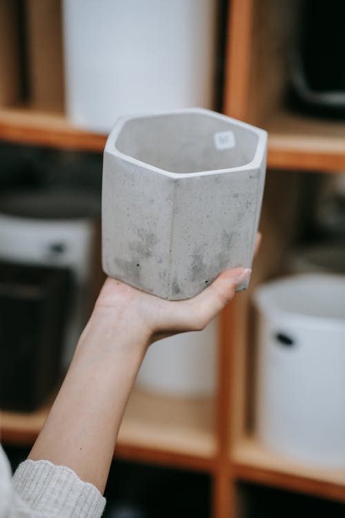 有关六角形, 垂直拍摄, 握住的免费素材图片