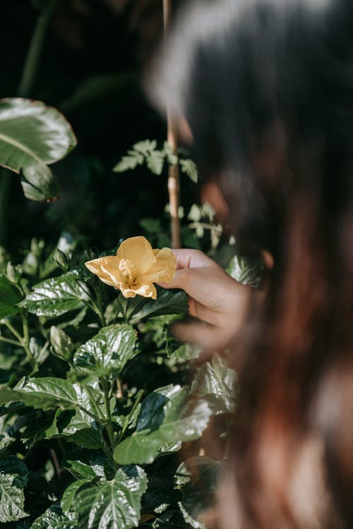 有关中等人群, 人头, 人的手的免费素材图片