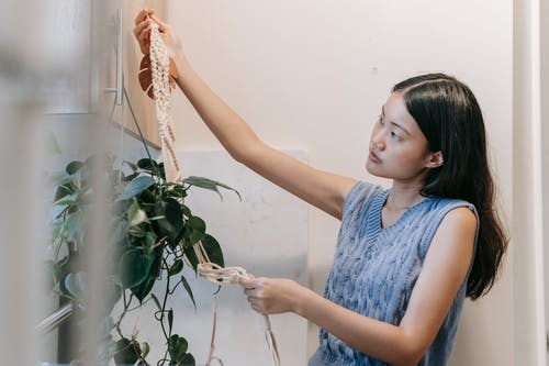 有关人, 侧面图, 室内植物的免费素材图片